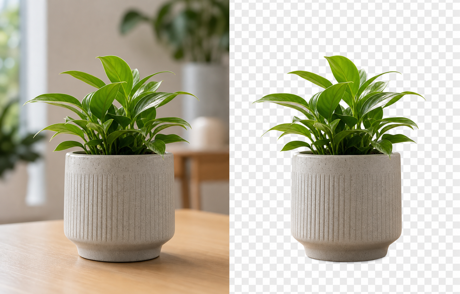 Example object photo and transparent cutout result from EasyCut